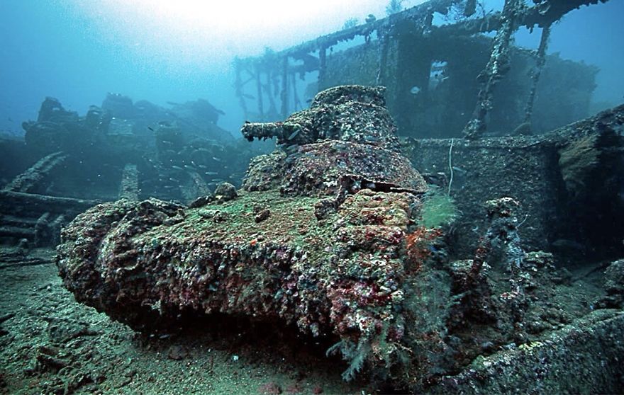 11-tanks-ocean-coraux