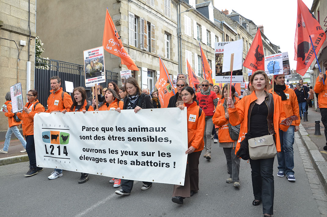 visu-manif-viande