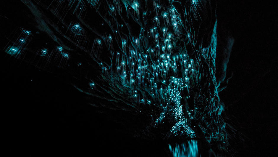 Waitomo Glowworm grotte-4