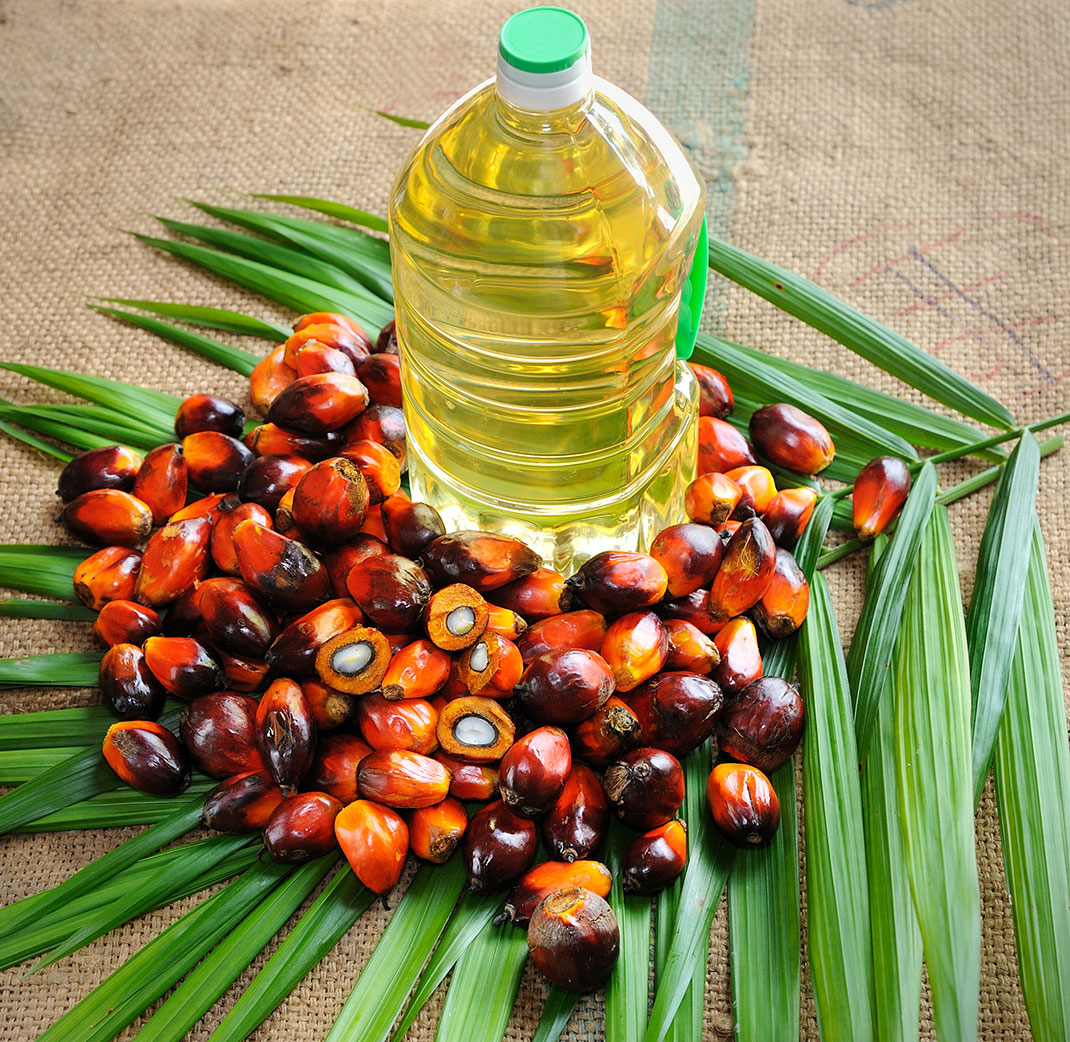 1-huile-palme