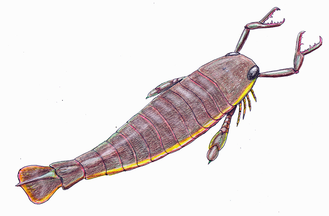 scorpion-mer