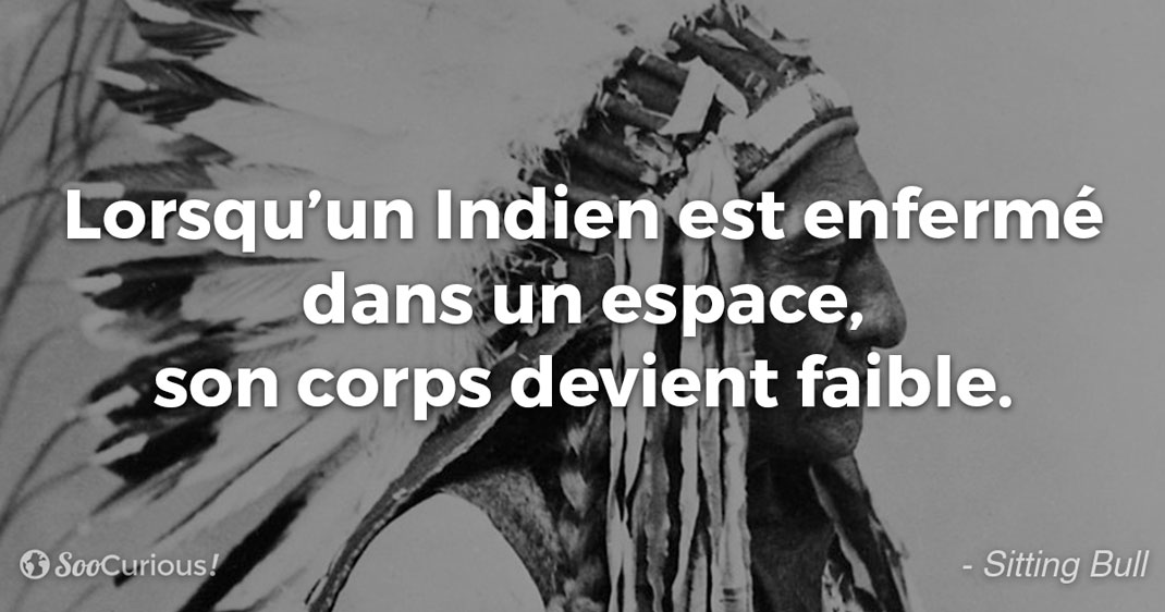 16 Citations Inspirantes De Chefs Indiens Qui Illustrent La Sagesse Et L Humilite De Ce Peuple Decime