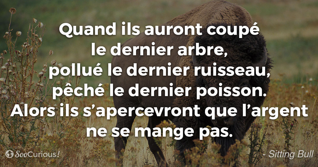 La décroissance: Une solution à la crise écologique mondiale ? 12-citation-sitting-bull