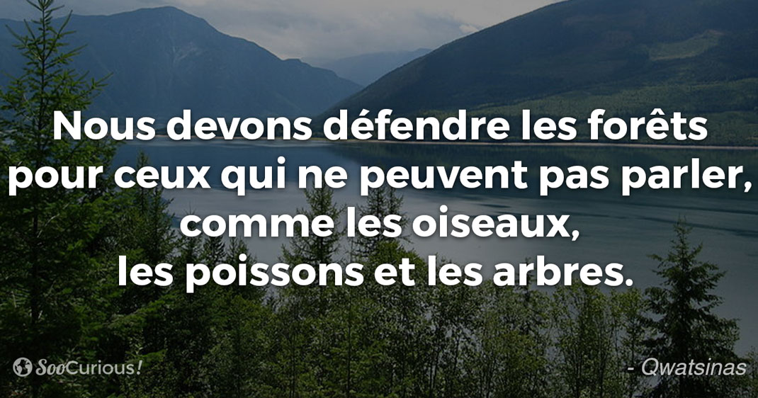 16 Citations Inspirantes De Chefs Indiens Qui Illustrent La Sagesse Et L Humilite De Ce Peuple Decime