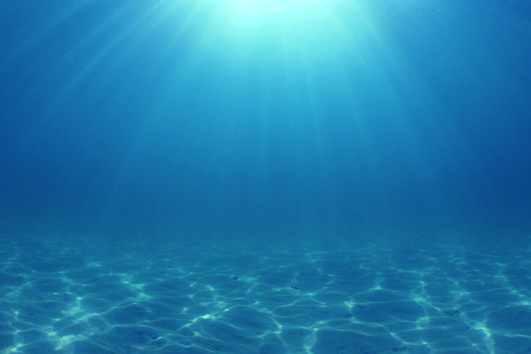 Le fond d'un océan via Shutterstock