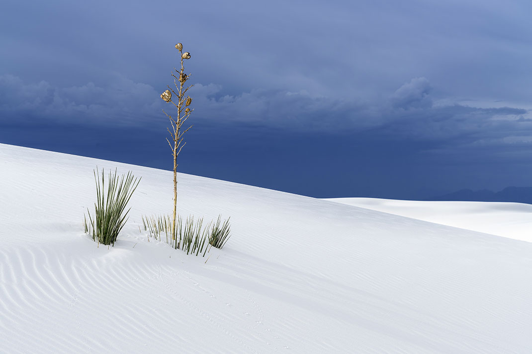Le désert de White Sands via Shutterstock
