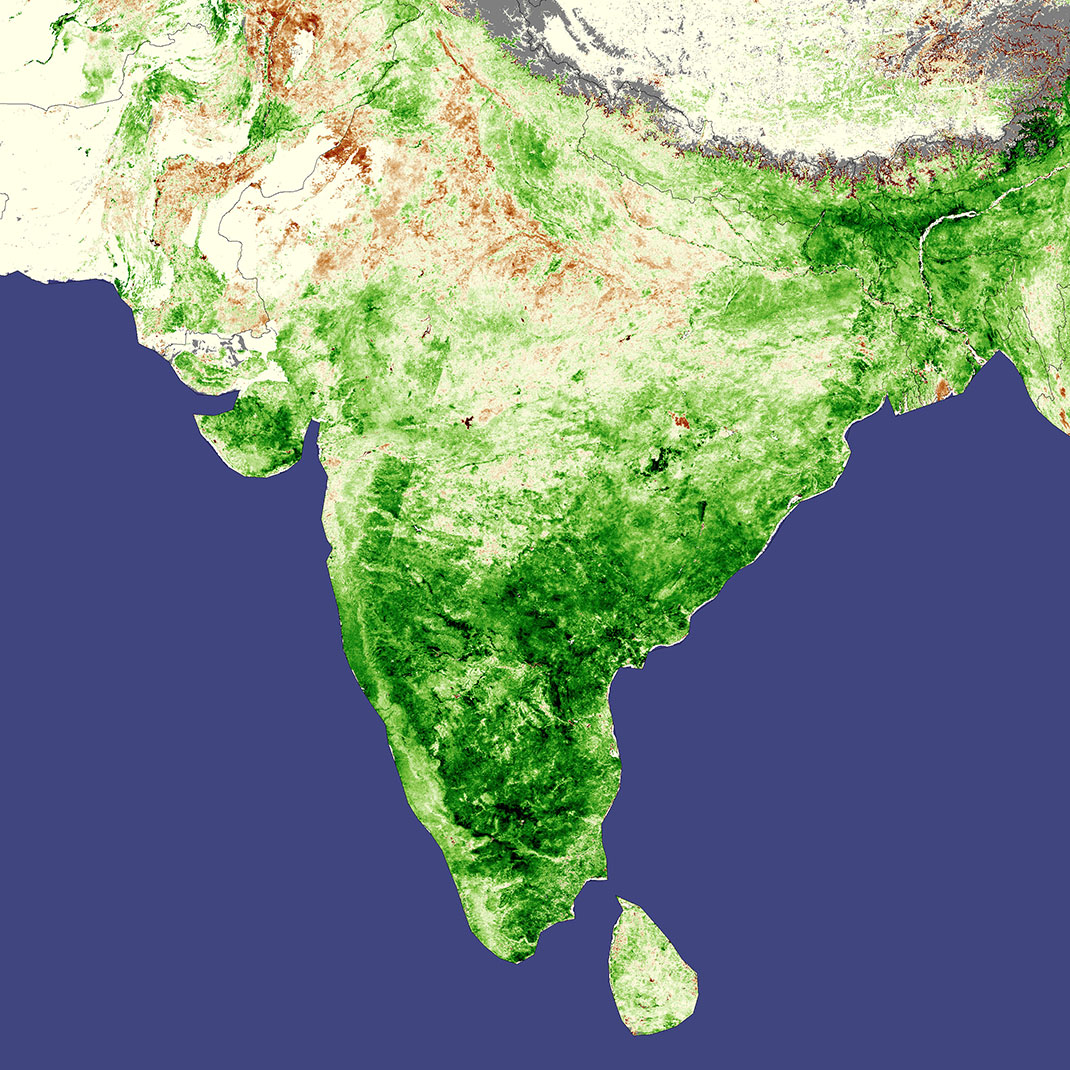 Couverture forestière en Inde