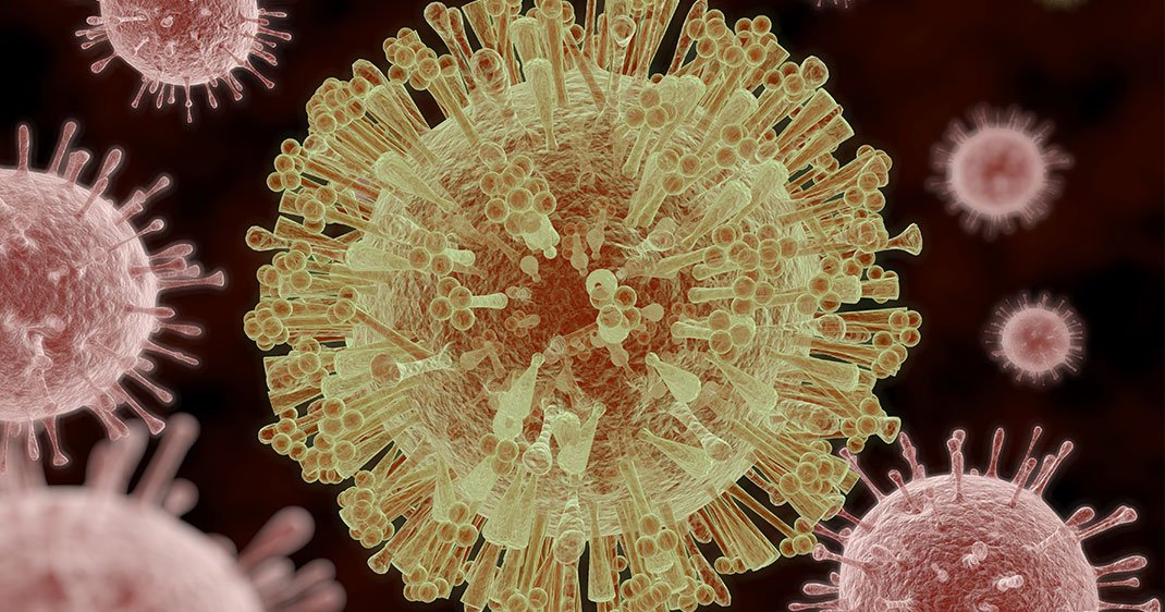 Une illustration du virus Zika via Shutterstock