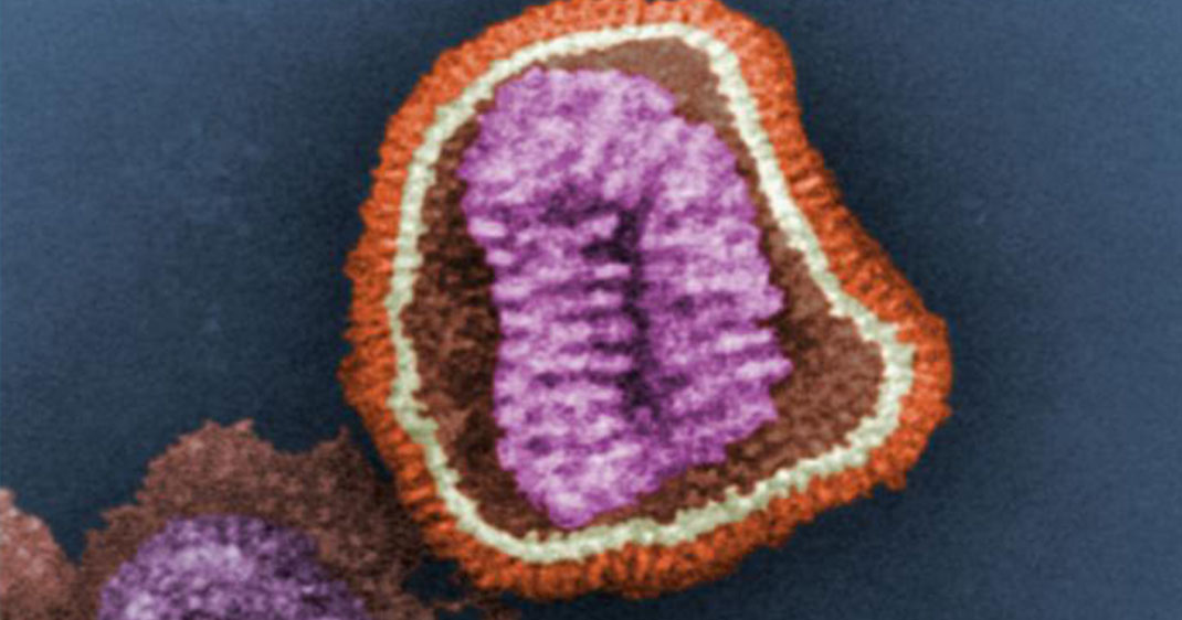 Virus Influenza