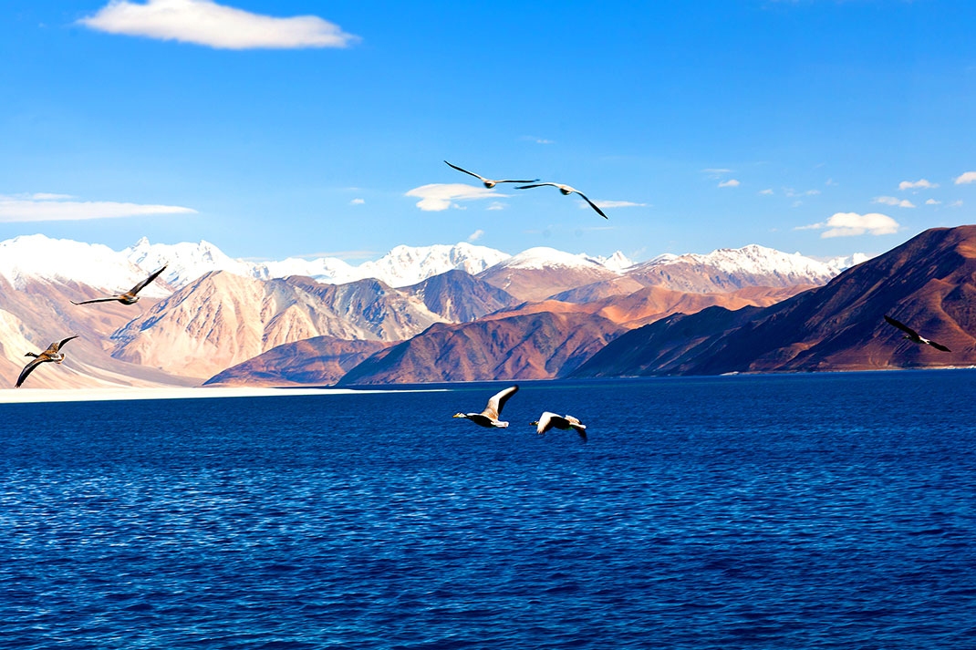 Le lac Pangong Tso dans l'Himalaya via Shutterstock
