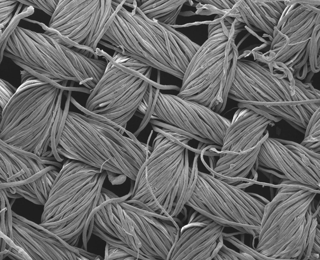 es fibres de coton recouvertes de nanostructures invisibles à l’oeil nu. Image agrandie 200 fois