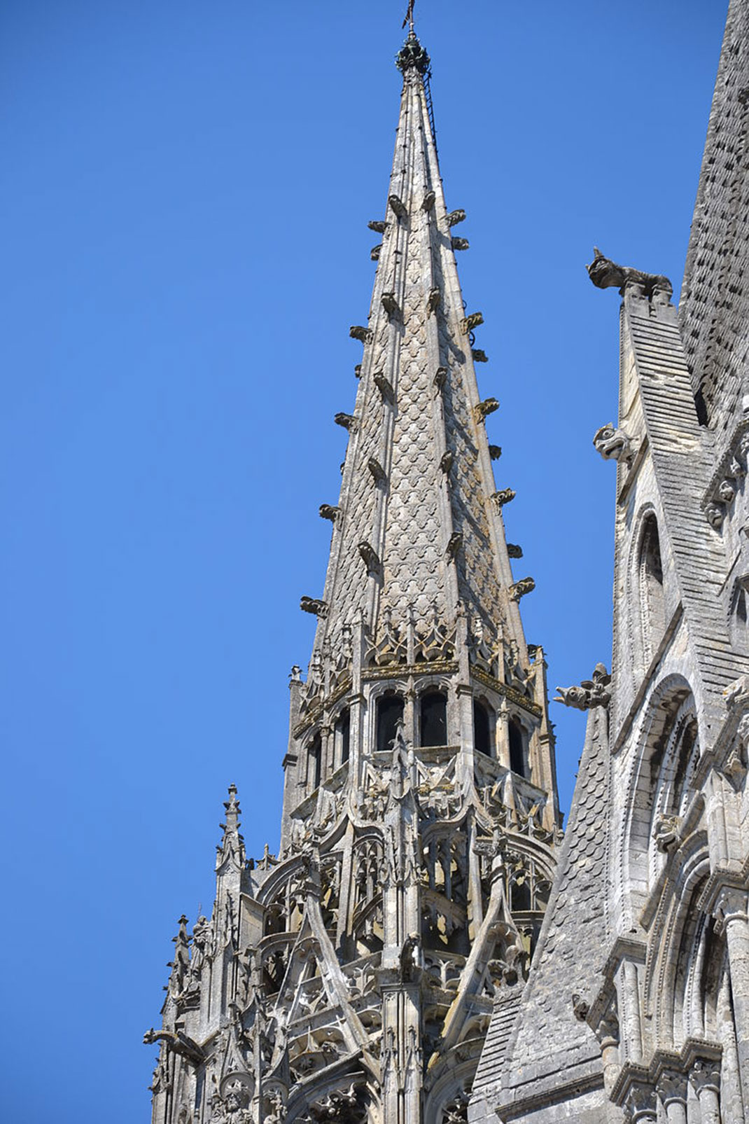 cathedrale-chartres9