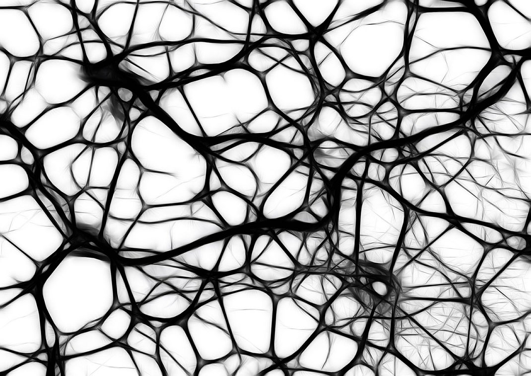 neurones