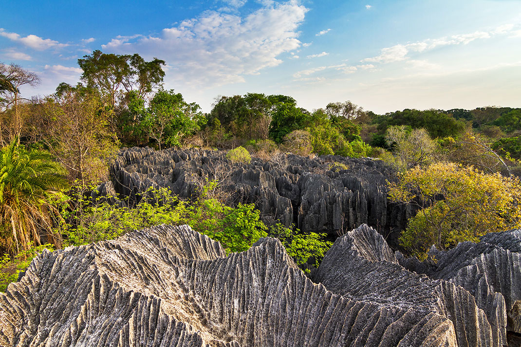 La réserve naturelle intégrale de Tsingy de Bemaraha via Shutterstock