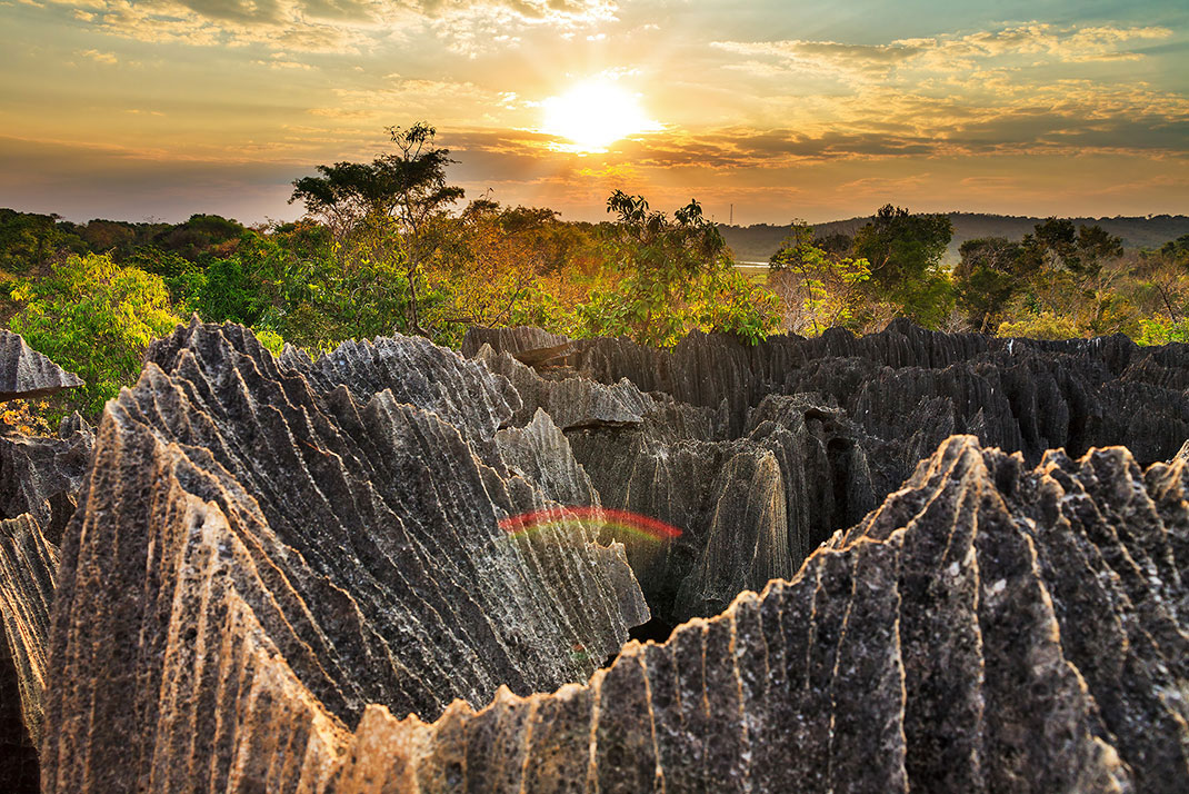 La réserve naturelle intégrale de Tsingy de Bemaraha via Shutterstock