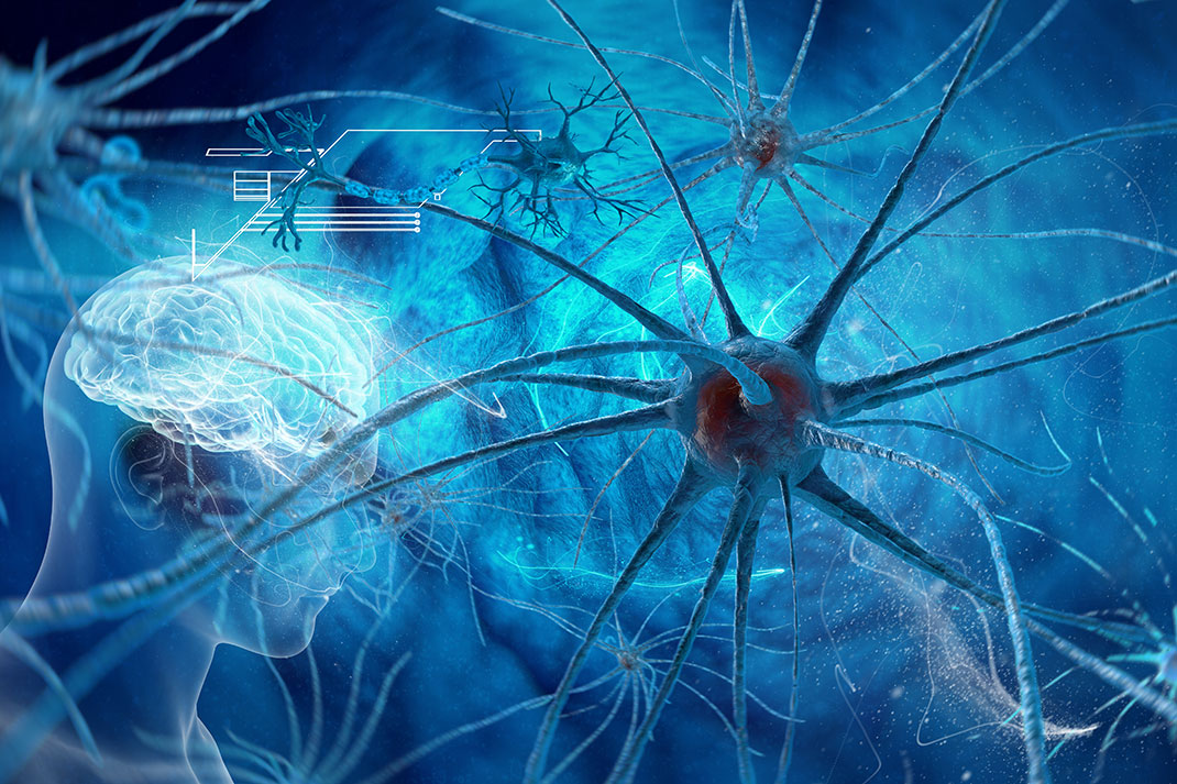 Les neurones via Shutterstock