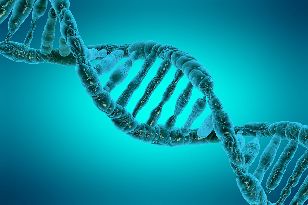 Un fragment d'ADN via Shutterstock