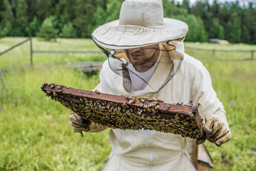 Un apiculteur via Shutterstock