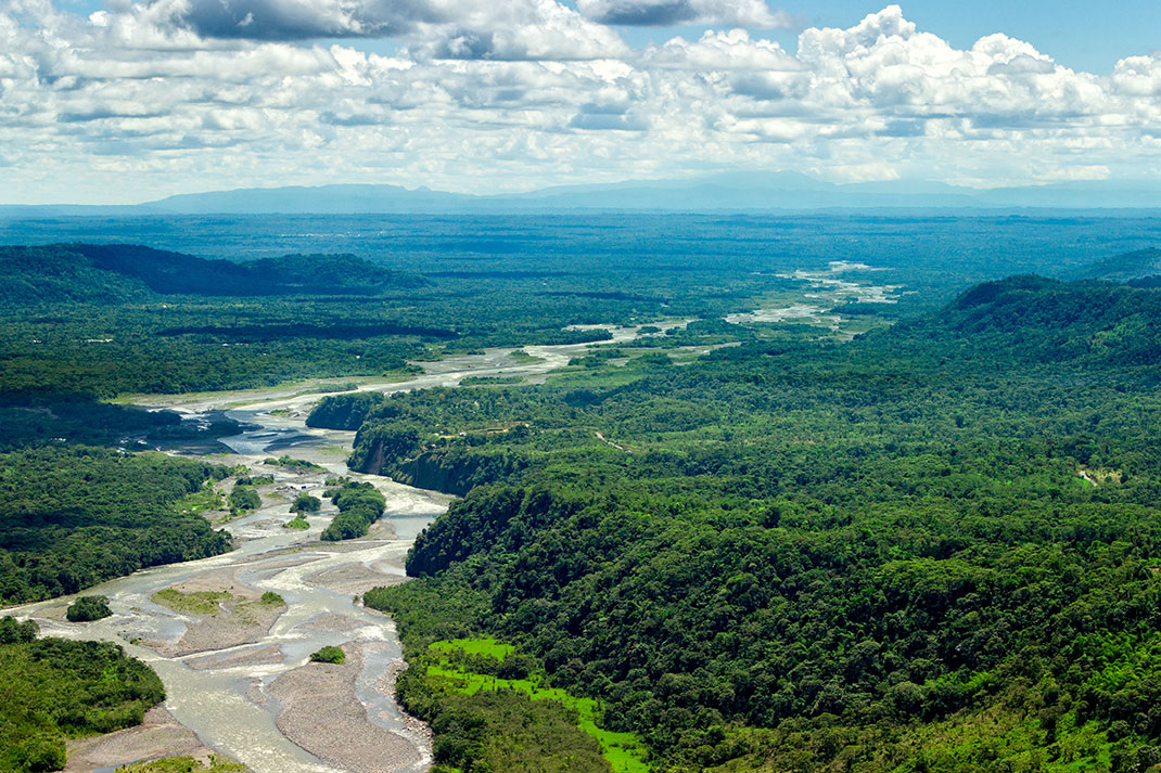 L'Amazone via Shutterstock