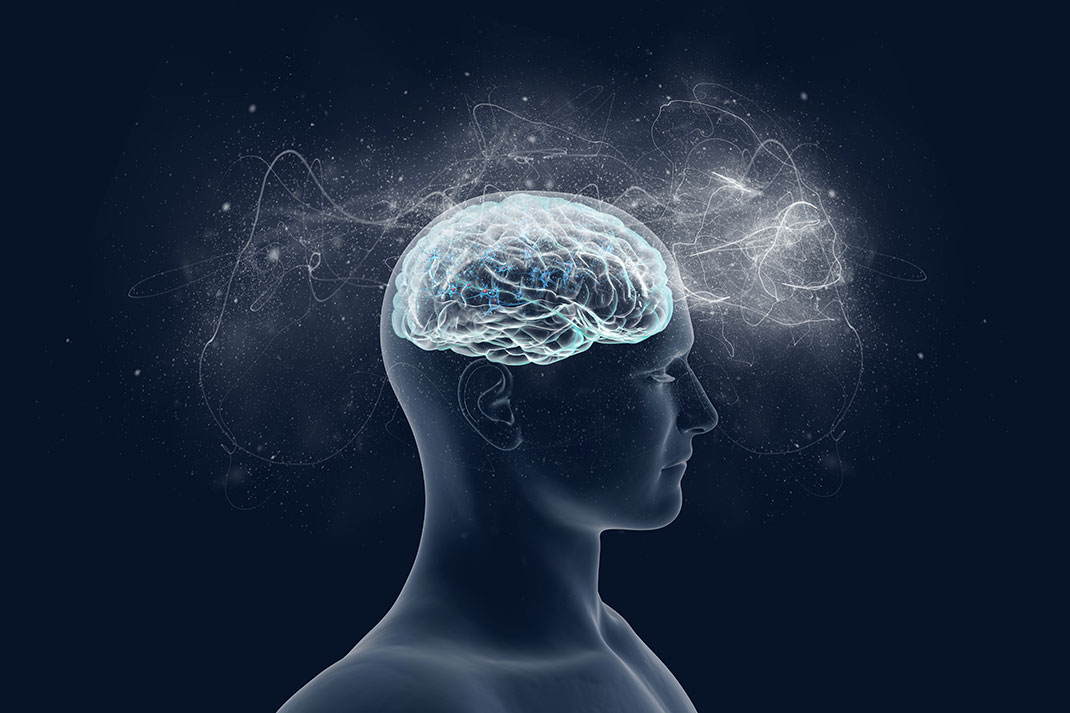 Vue d'artiste d'un cerveau humain via Shutterstock