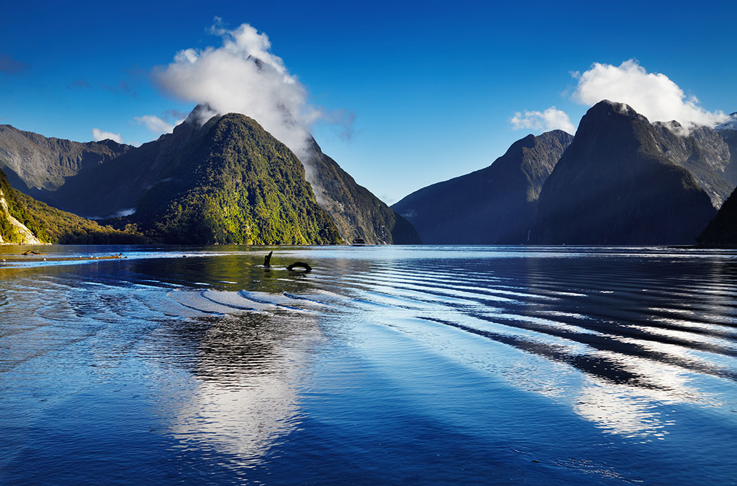 Milford Sound, Nouvelle-Zélande via Shutterstock