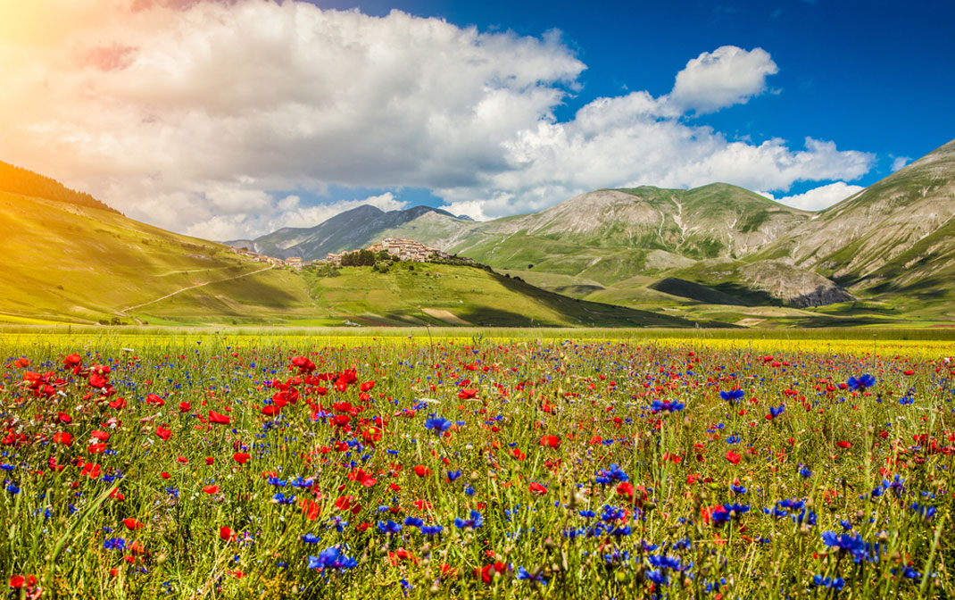 Les magnifiques champs de fleurs de Castelluccio en Italie via Shutterstock