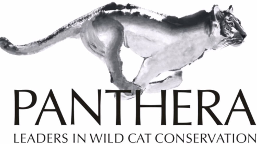 Logo de l'organisation Panthera