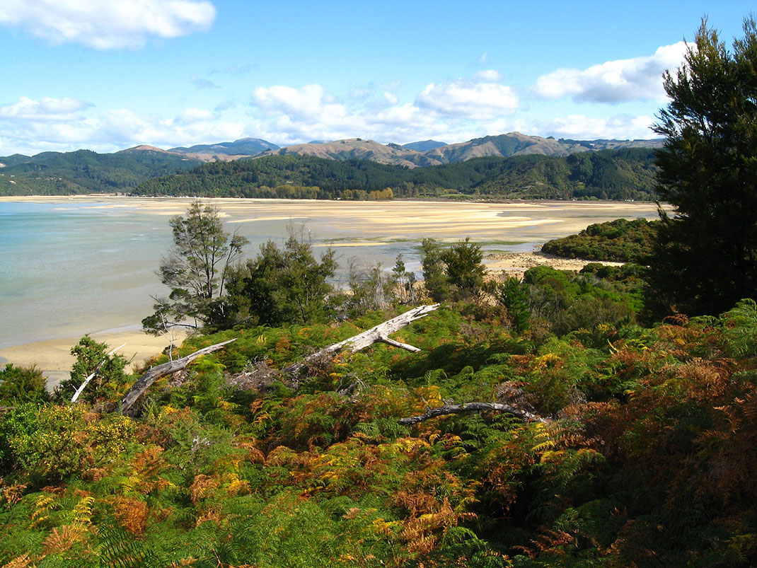 Une vue du parc national Abel Tasman via Wikimédia by Hector Garcia