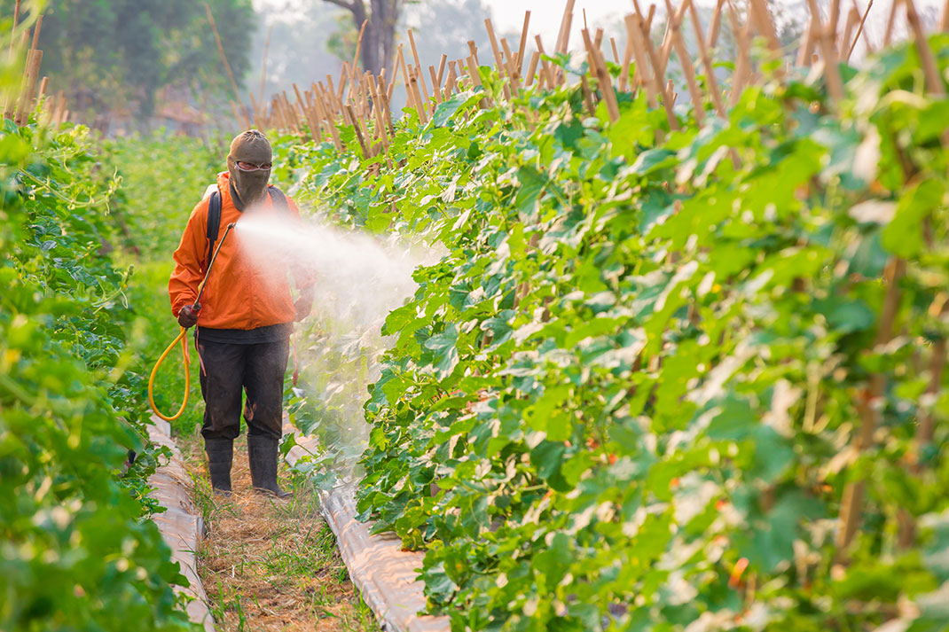 Pesticide via Shutterstock