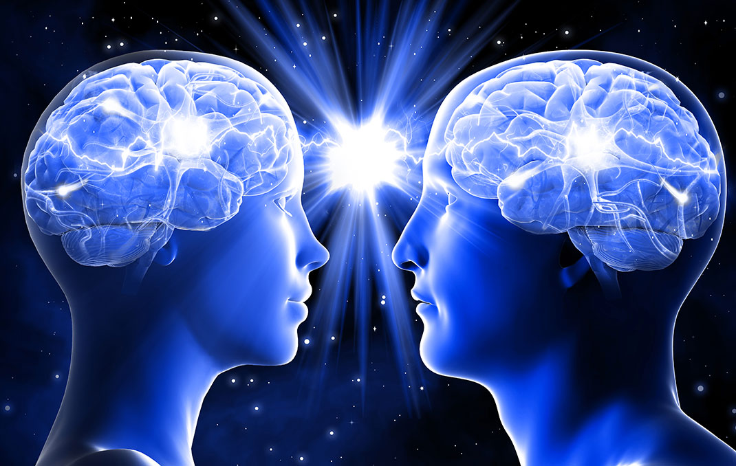 Cerveaux d'un homme et d'une femme via Shutterstock