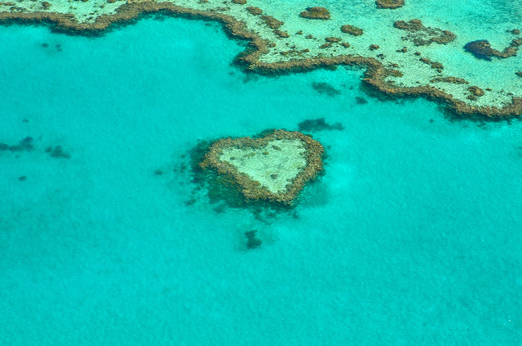 Un récif corallien de 6 000 km2 a été découvert sous la Grande Barrière de Corail