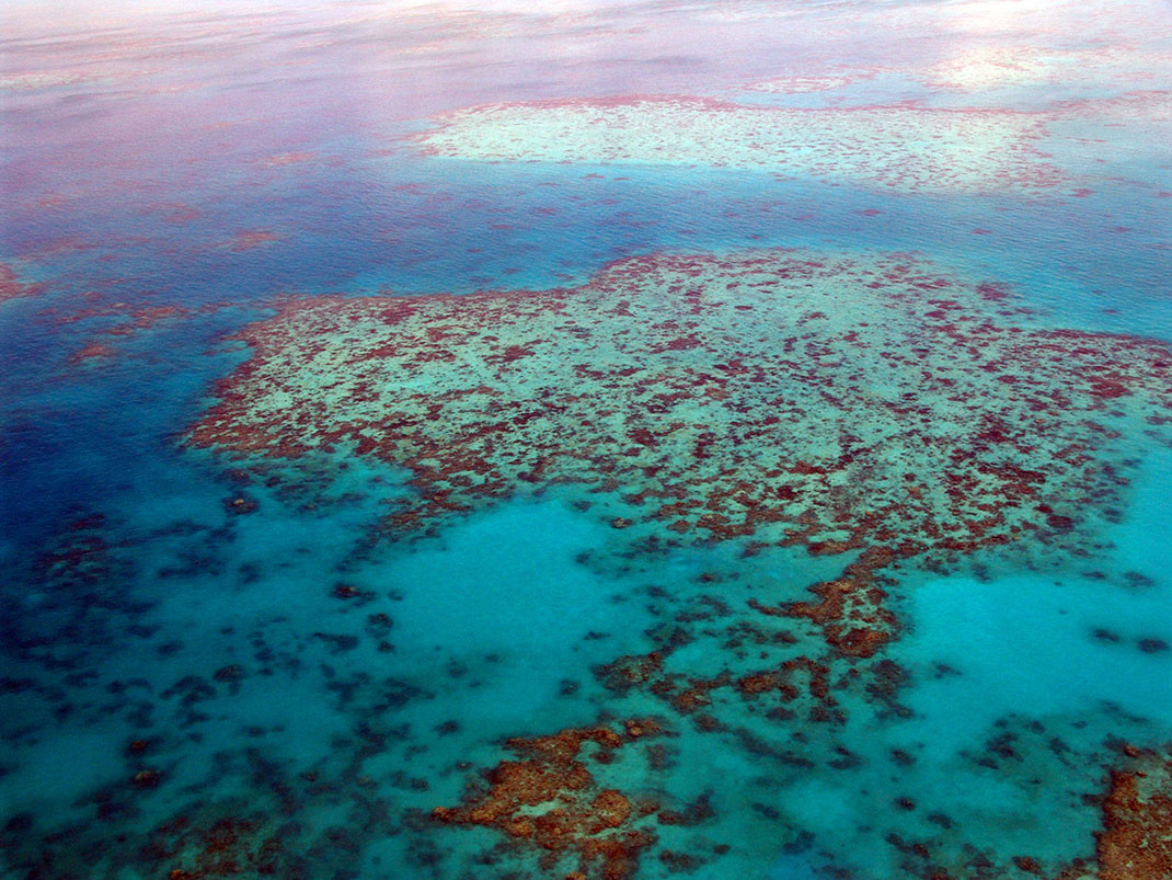 Le récif corallien mesure sept fois et demie la taille de New York