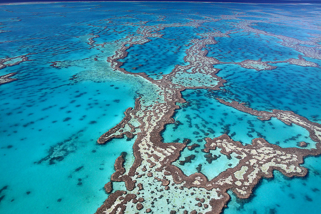 corail-australie