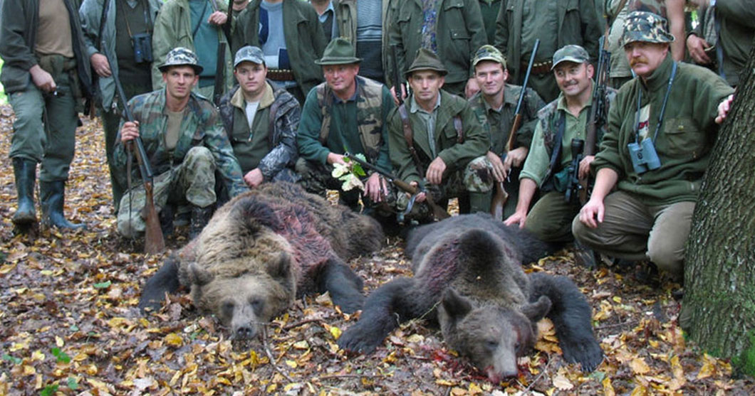 une-ours-chasse