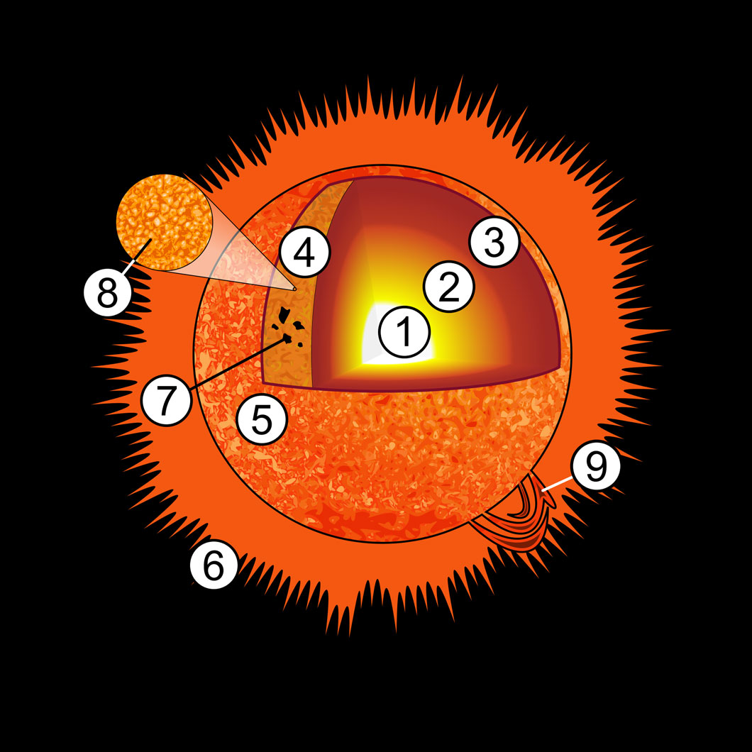 1. Noyau 2. Zone de rayonnement 3. Zone de convection 4. Photosphère 5. Chromosphère 6. Couronne 7. Tache solaire 8. Granulation 9. Éruption solaire