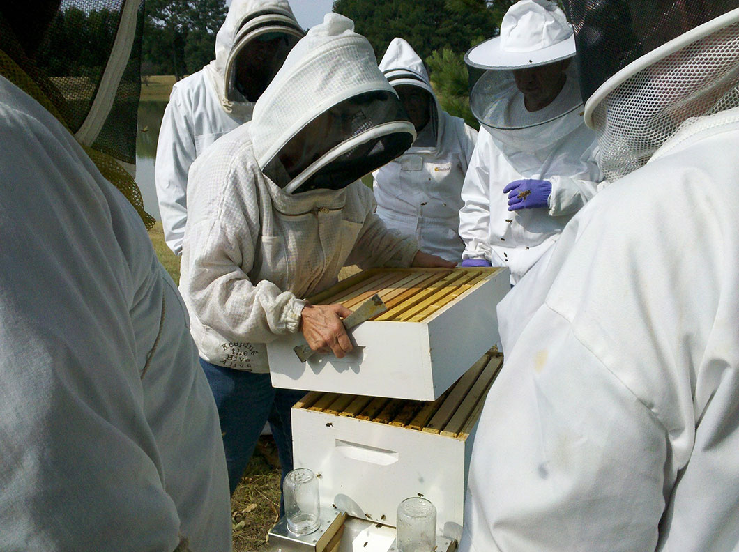 apiculture-cuba