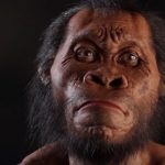 Homo Naledi