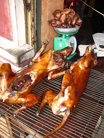Après des massacres barbares, le festival de Yulin ne vendra pas de viande  de chien cette année