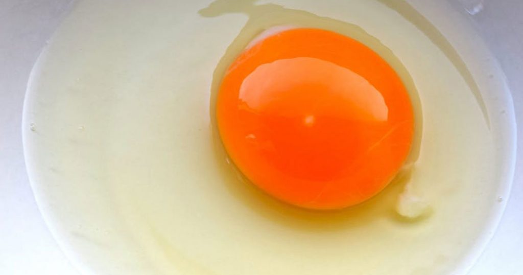 oeuf