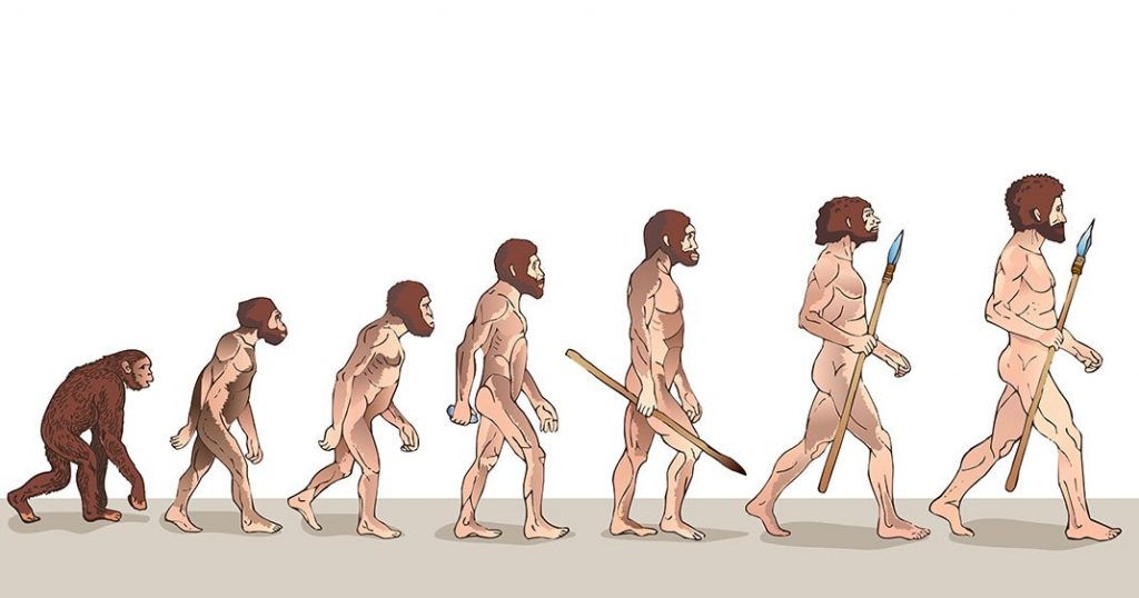 homme évolution