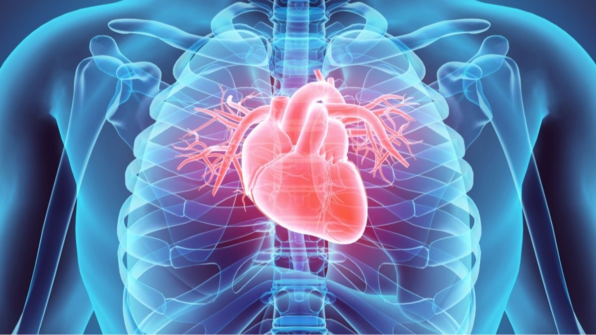 Cette nouvelle IA prédit l’espérance de vie des patients souffrant d’insuffisance cardiaque