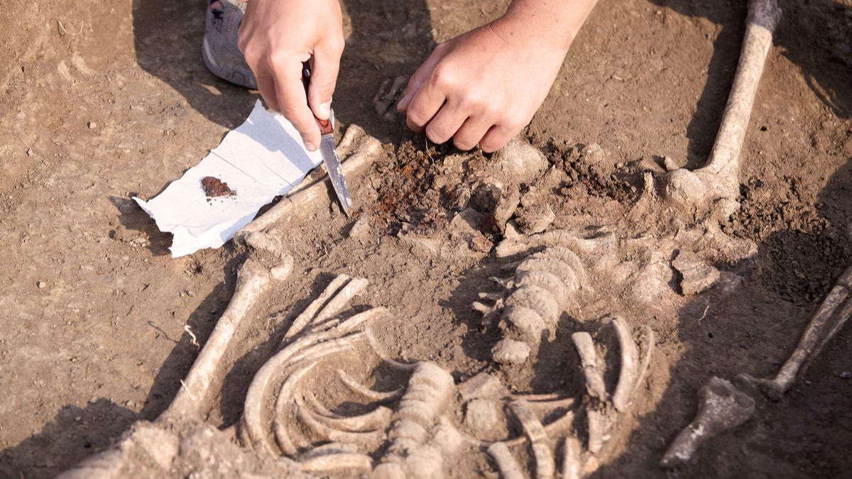 La découverte de corps d’enfants préhistoriques remet en question les origines de l’Homme en Afrique ! (vidéo) Par Yann Contegat Une-squelette-adn