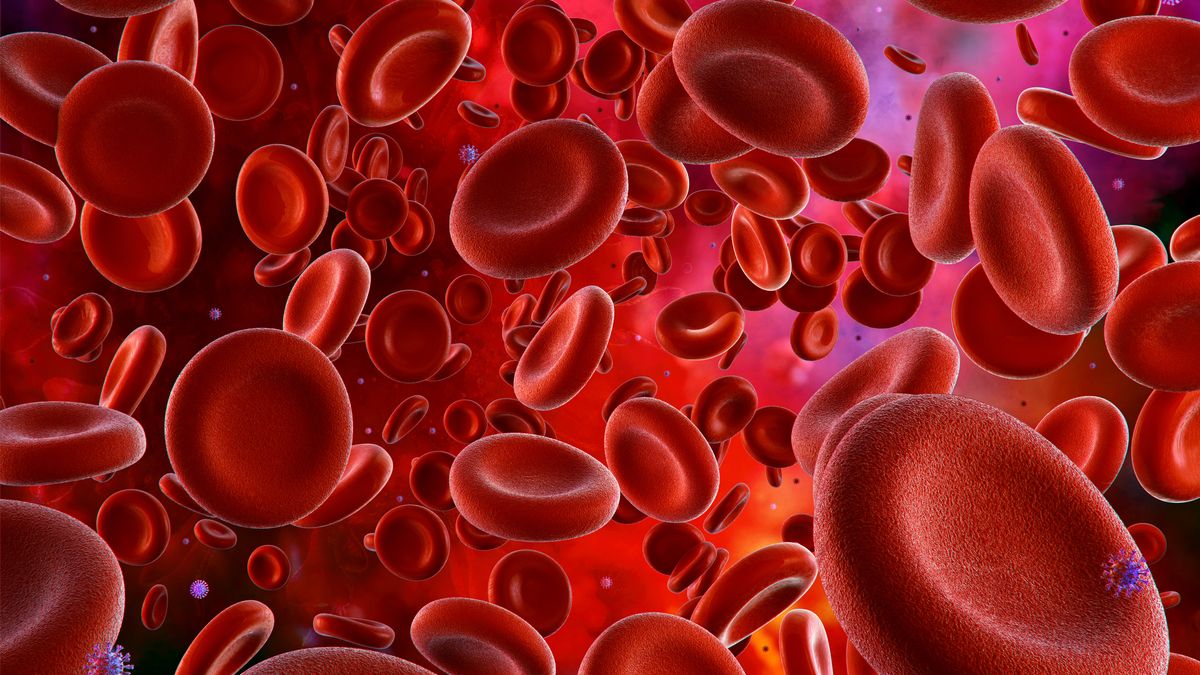Ces Globules Rouges Synth tiques Surpassent Les Vrais Ces Globules Rouges Synth tiques Surpassent Les Vrais