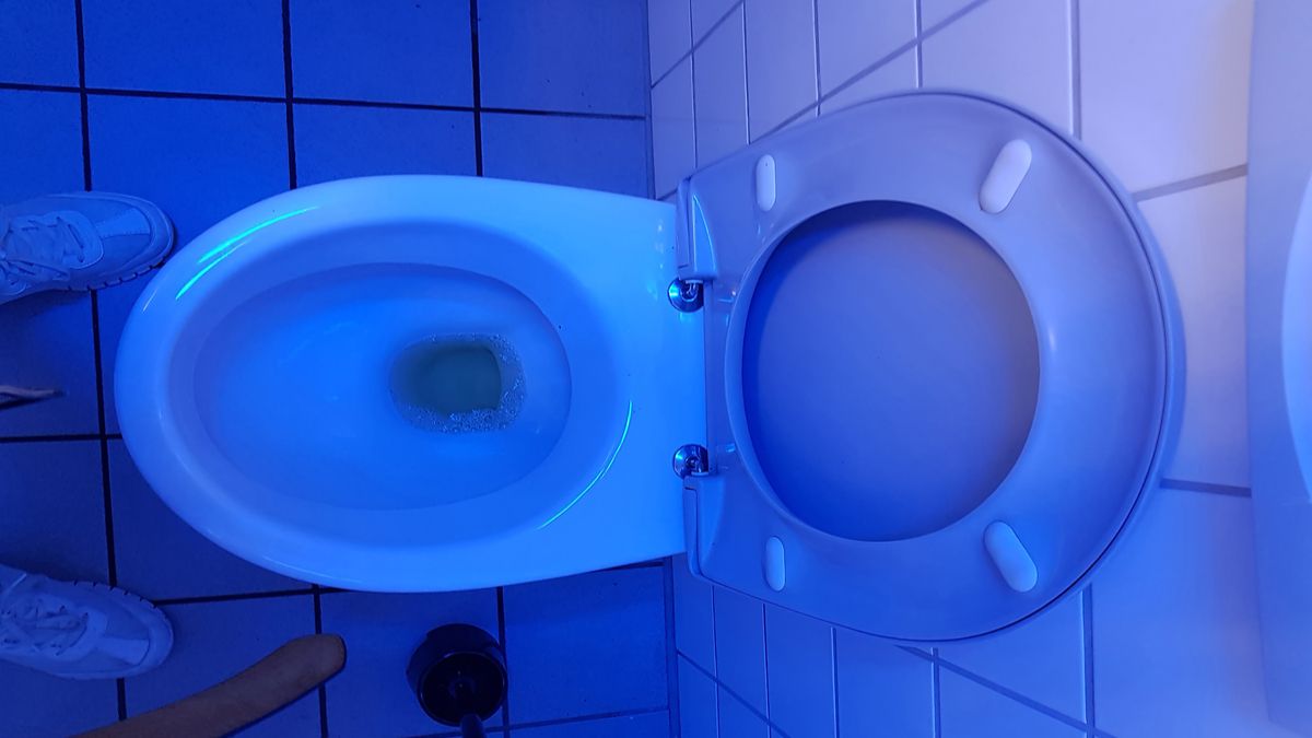 Pourquoi dans certaines toilettes publiques les lumières sont
