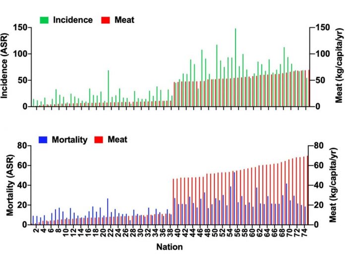 Consumption of meat and dairy products is directly linked to an increased risk of cancer