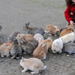 Okunoshima