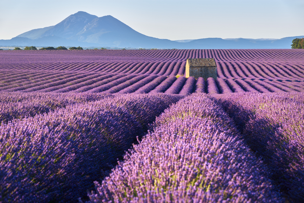 Provence