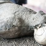 pompei-victime