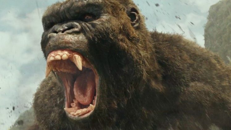 Netflix announces the start of an animated series centered on King Kong ...