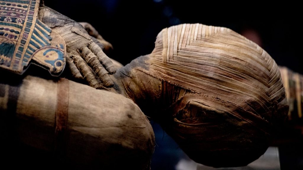 Découverte d’une momie égyptienne à la langue dorée Une-momie-langue-doree-1024x576